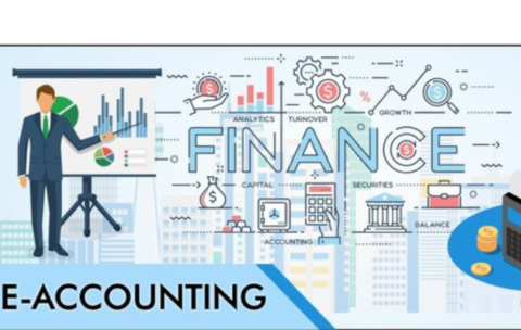 E-Accounting Institute in Delhi