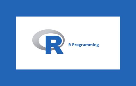 R Programming Course