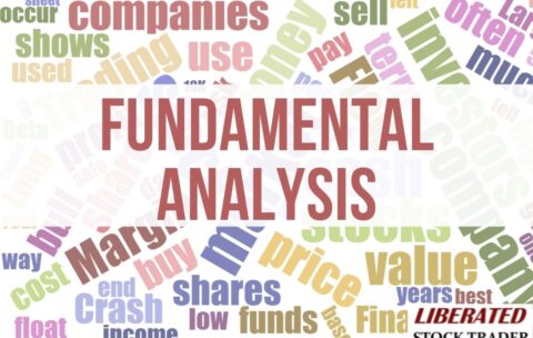 Fundamental analysis Crash Course