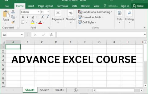 Advance Excel Course