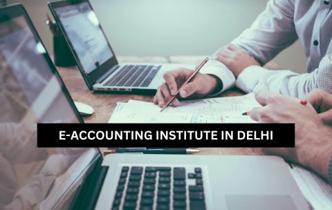 E-Accoutning Institute In Delhi